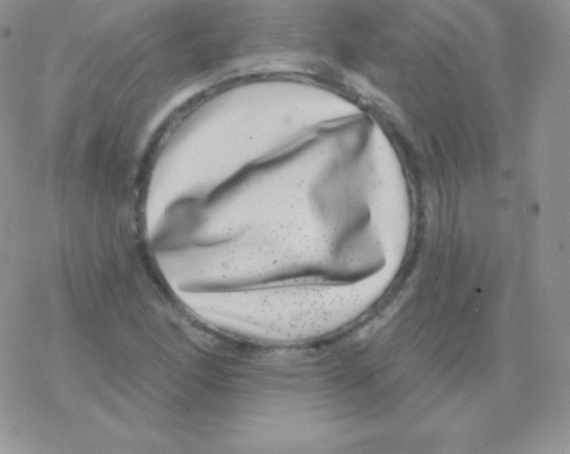 X0000077371166200611171942