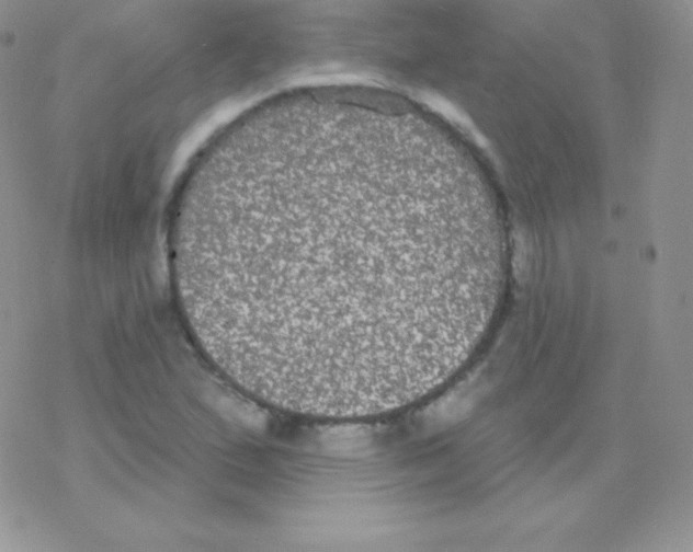 X0000077371167200611171941