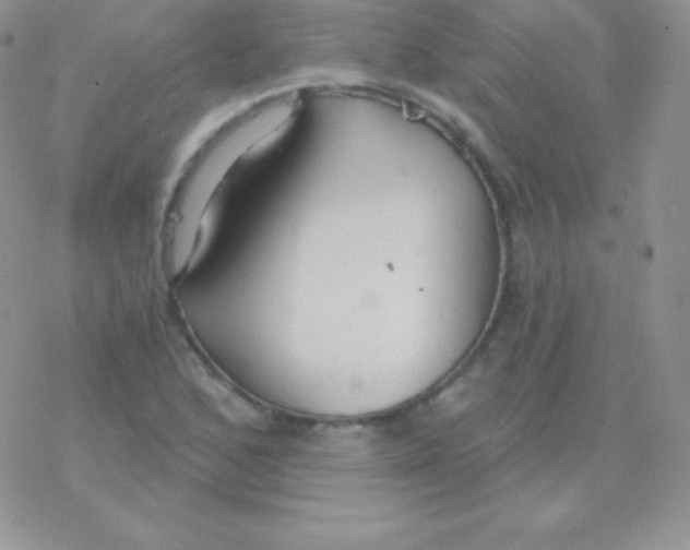 X0000077371168200611171941