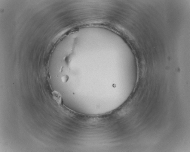 X0000077371169200611171941