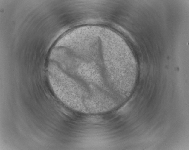 X0000077371170200611171941