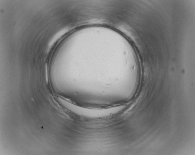 X0000077371171200611171941