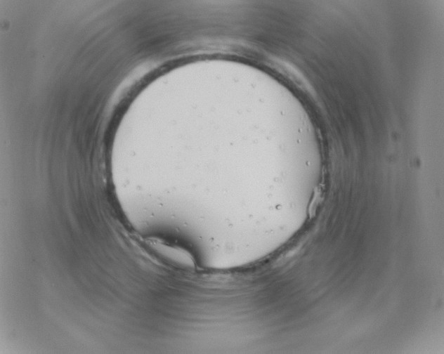 X0000077371172200611171941