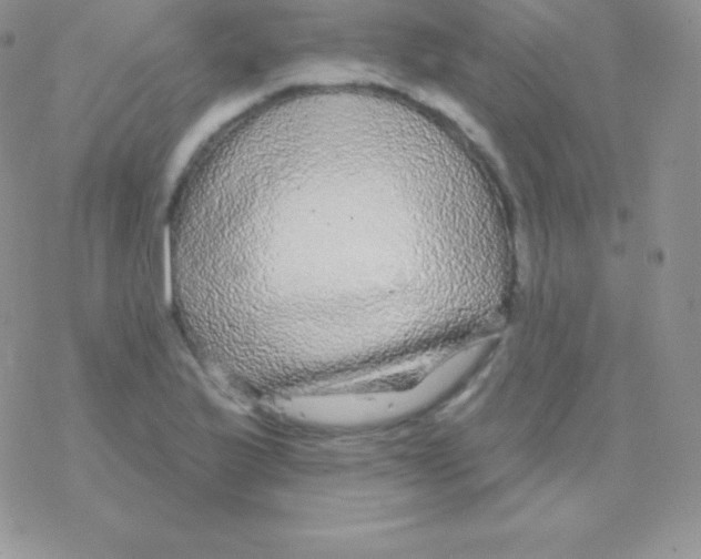 X0000077371175200611171941