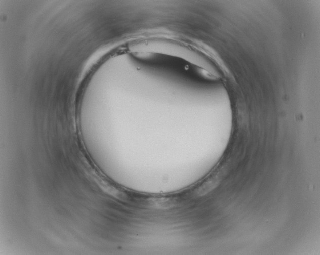 X0000077371176200611171941