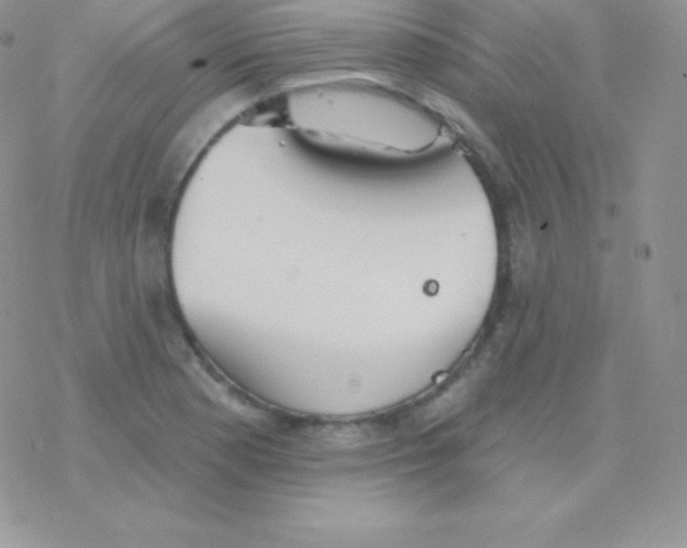 X0000077371177200611171941