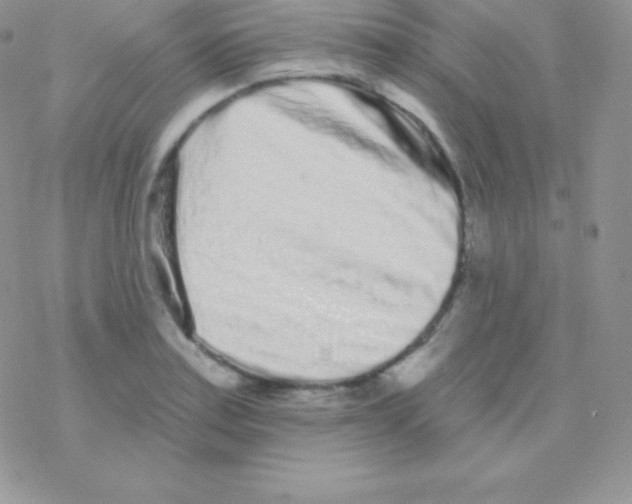 X0000077371179200611171941