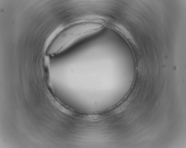 X0000077371180200611171941