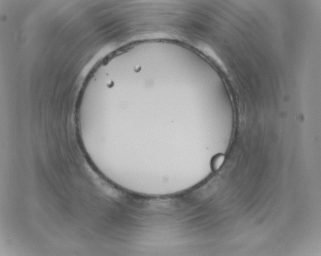 X0000077371181200611171941