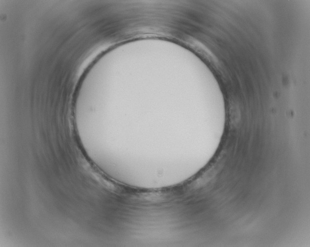 X0000077371182200611171941