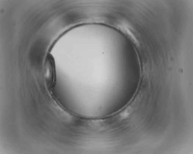 X0000077371184200611171941