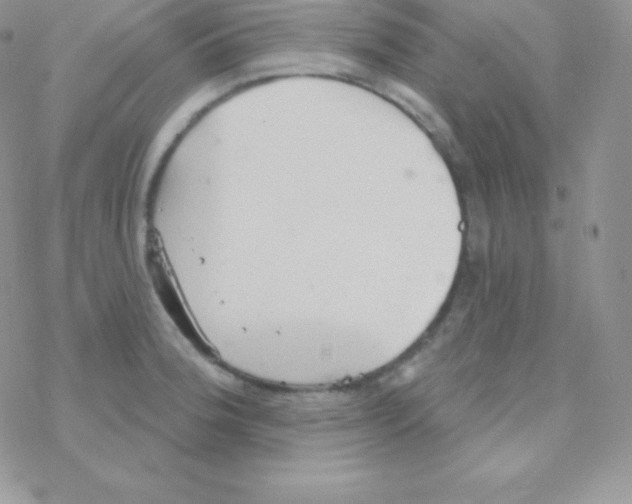 X0000077371188200611171941