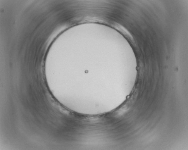 X0000077371190200611171941