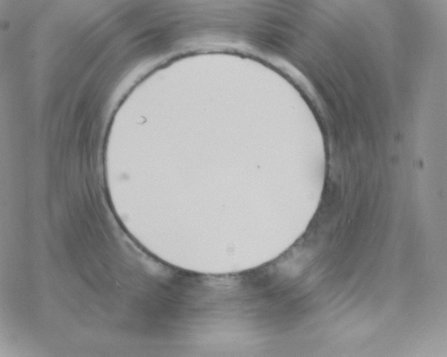 X0000077371191200611171941