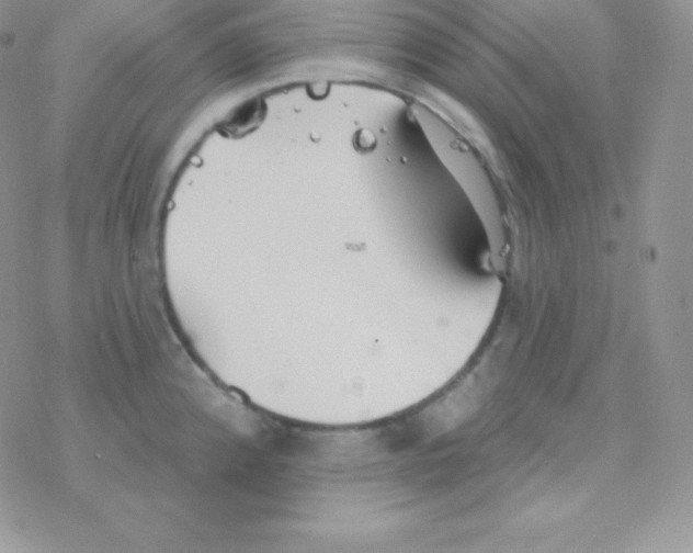 X0000077371192200611171941