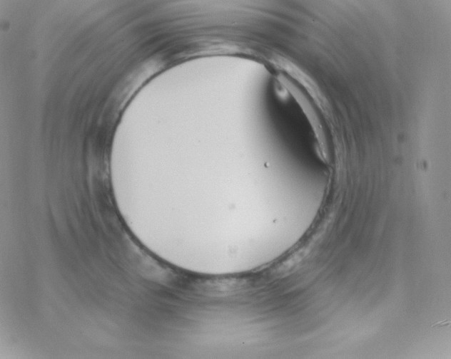 X0000077371193200611171941