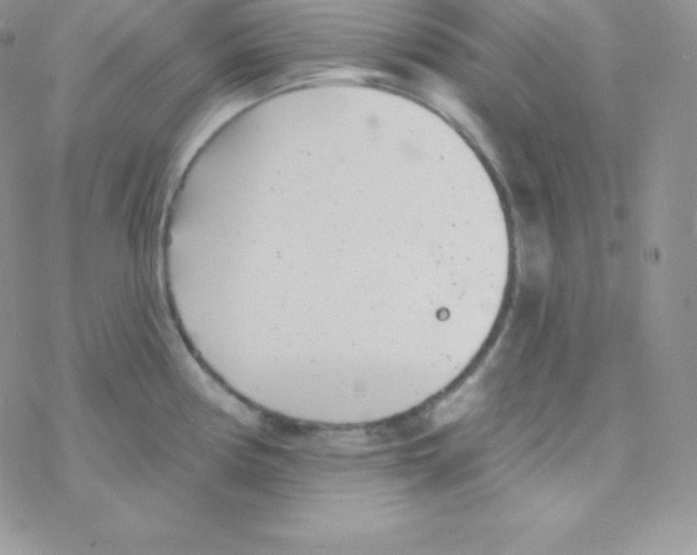 X0000077371194200611171941