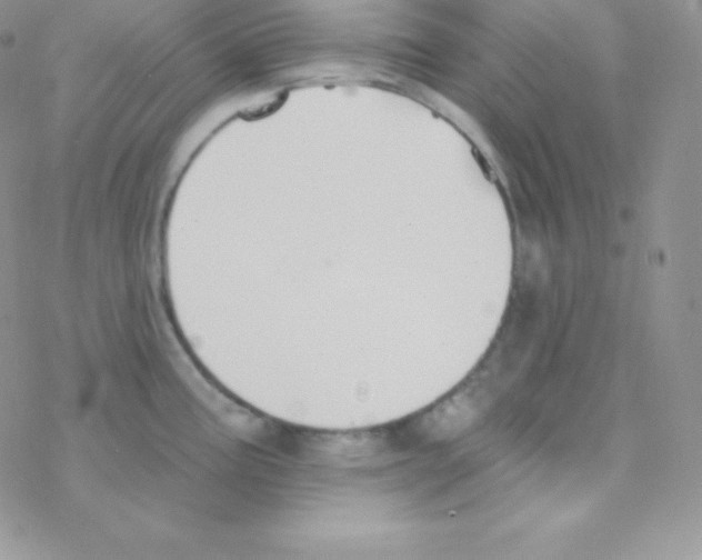 X0000077371195200611171941