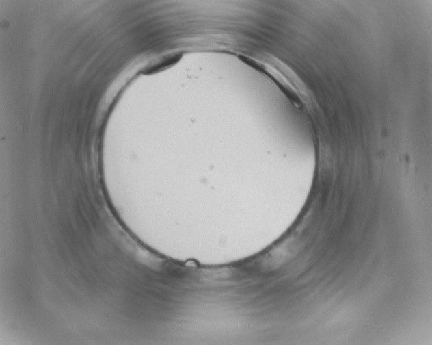 X0000077371196200611171941