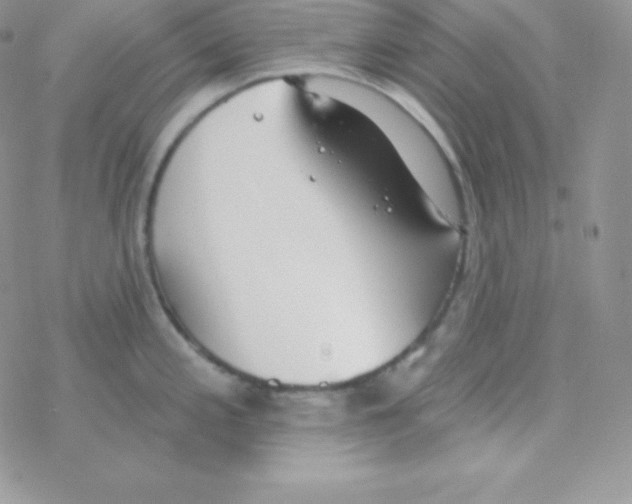 X0000077371197200611171941