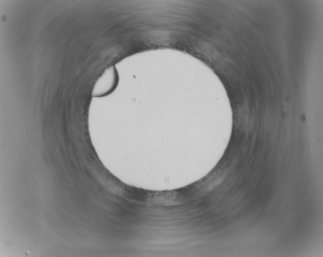 X0000077371201200611171940