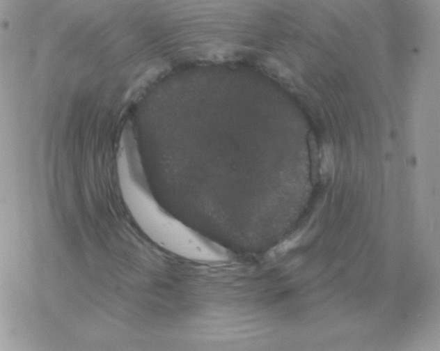 X0000077371202200611171940