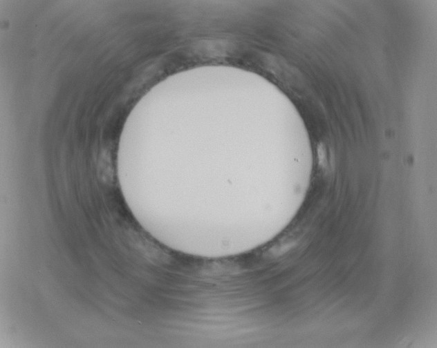 X0000077371203200611171940