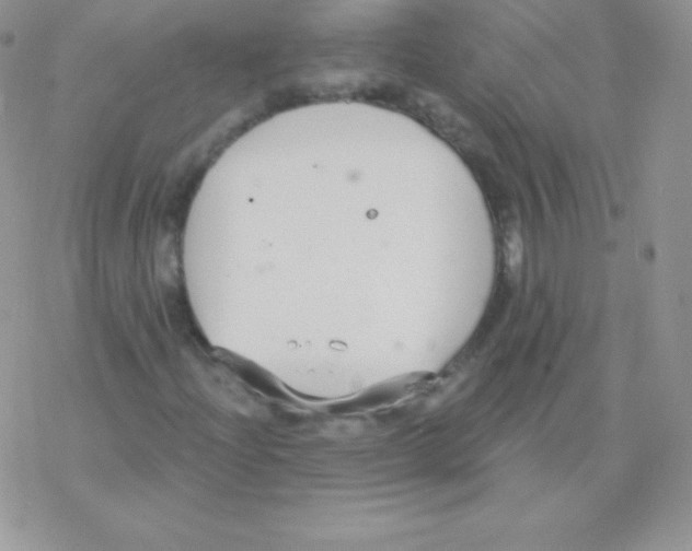 X0000077371204200611171940