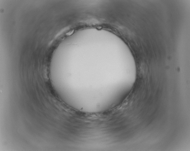 X0000077371205200611171940