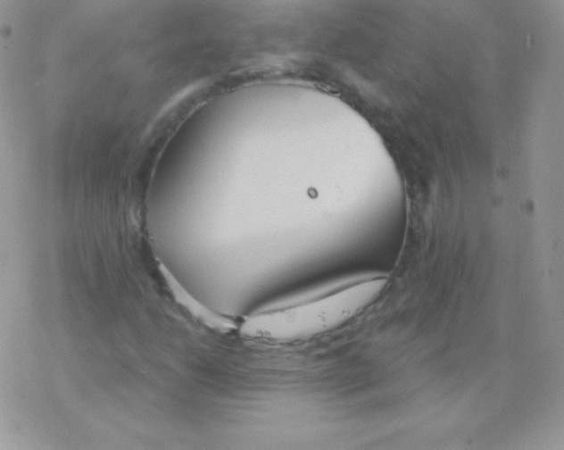 X0000077371206200611171940