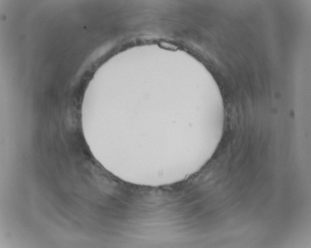 X0000077371207200611171940