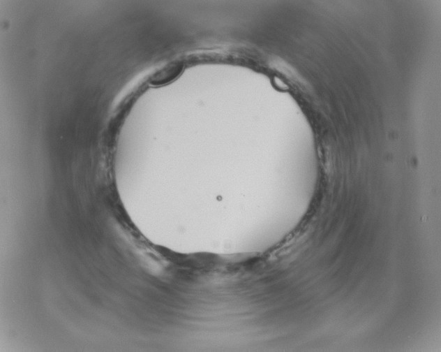 X0000077371208200611171940