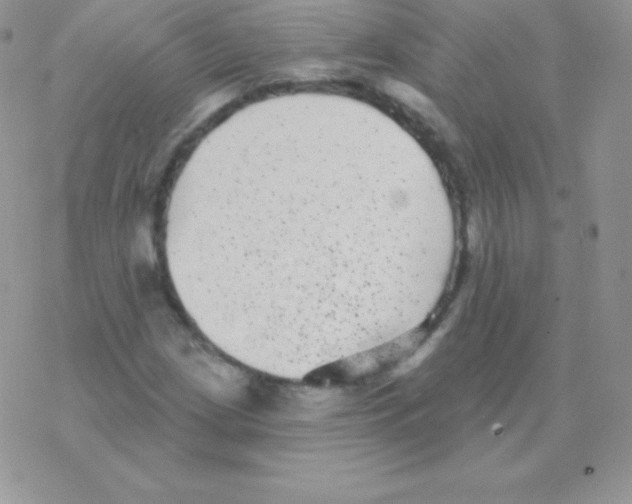 X0000077371209200611171940