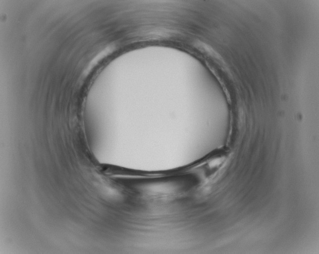 X0000077371210200611171940