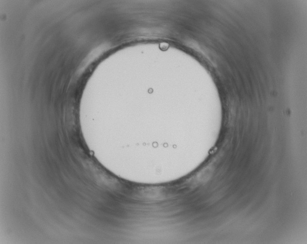 X0000077371211200611171940