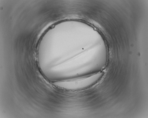 X0000077371212200611171940