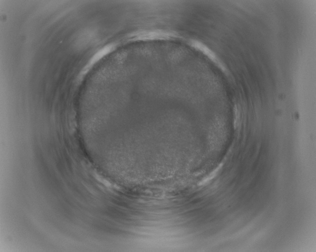 X0000077371213200611171940