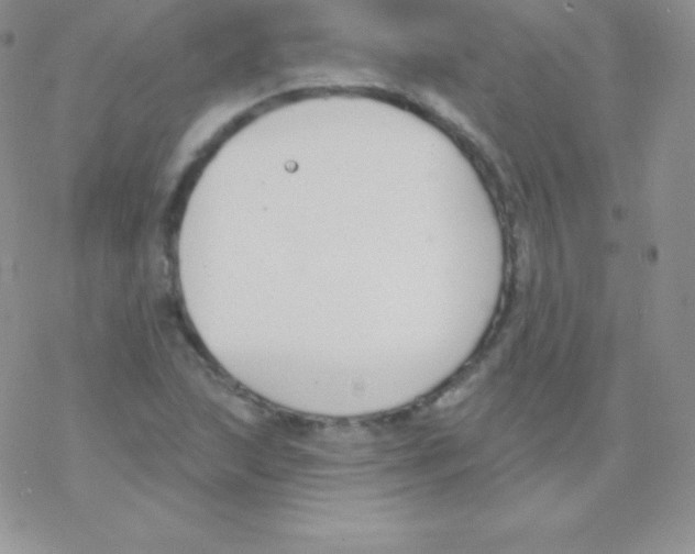 X0000077371215200611171940