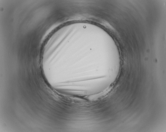 X0000077371216200611171940