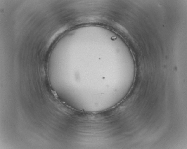 X0000077371218200611171940