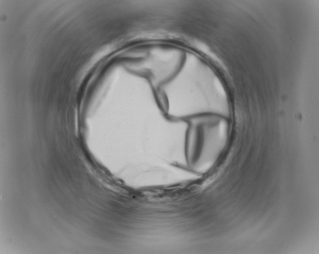 X0000077371221200611171940