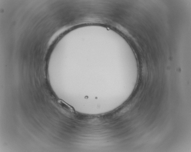 X0000077371222200611171941