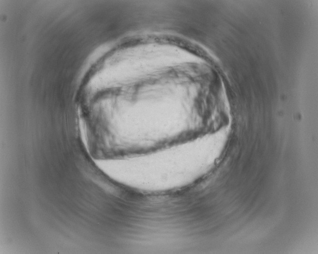 X0000077371223200611171941