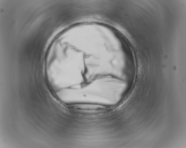 X0000077371224200611171941