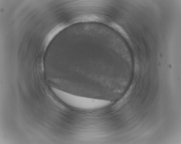 X0000077371226200611171941