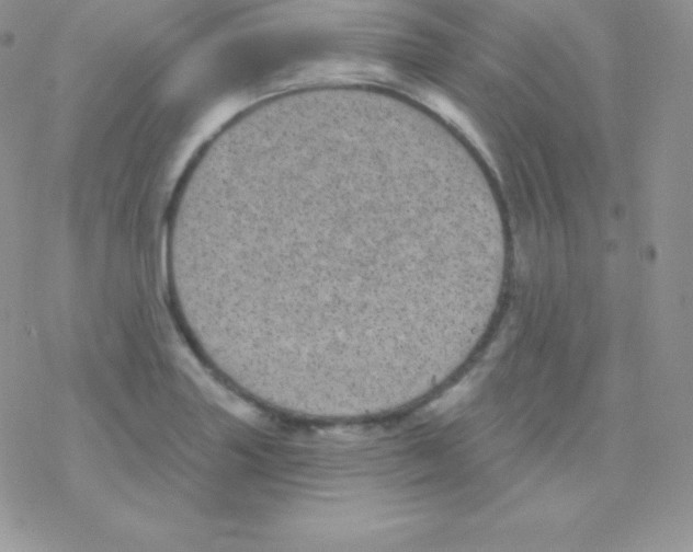 X0000077371227200611171941