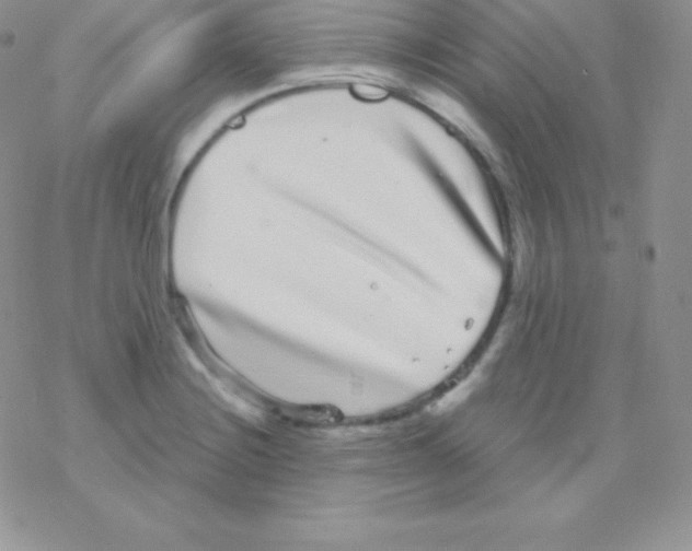 X0000077371228200611171941