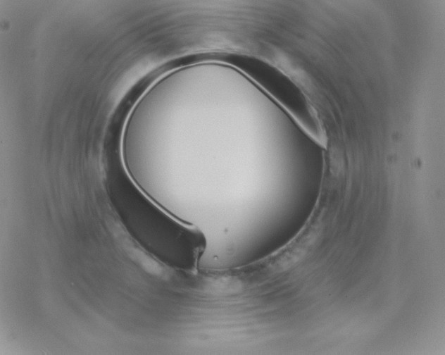 X0000077371230200611171941