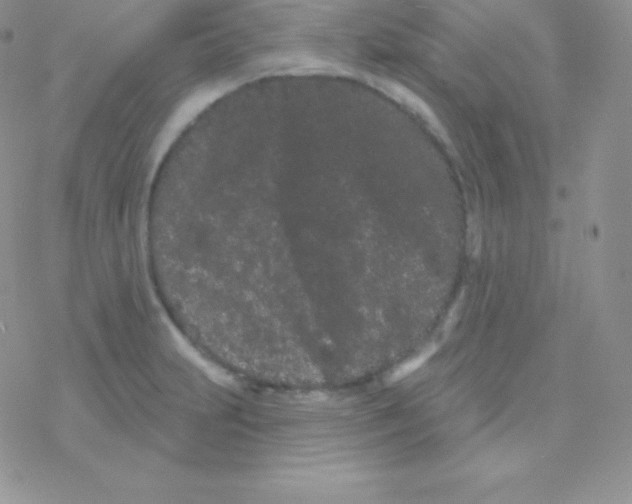 X0000077371231200611171941