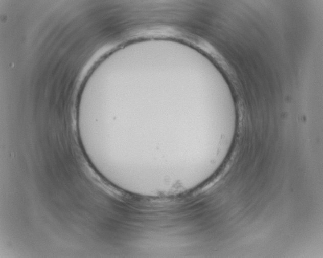 X0000077371232200611171941